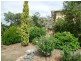341 Adelaide Road, Murray Bridge SA 5253