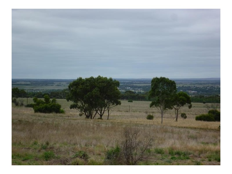 341 Adelaide Road, Murray Bridge SA 5253