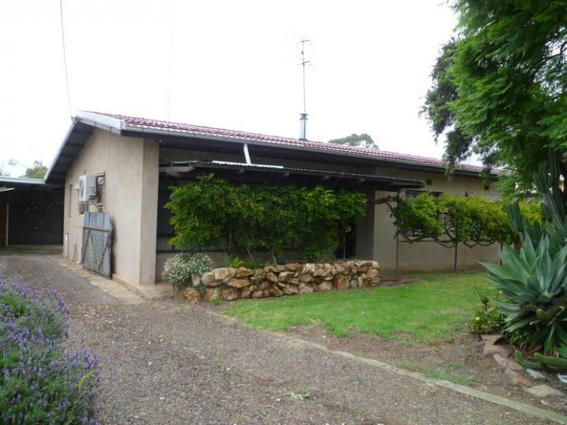 12 Hirt Avenue, Murray Bridge SA 5253