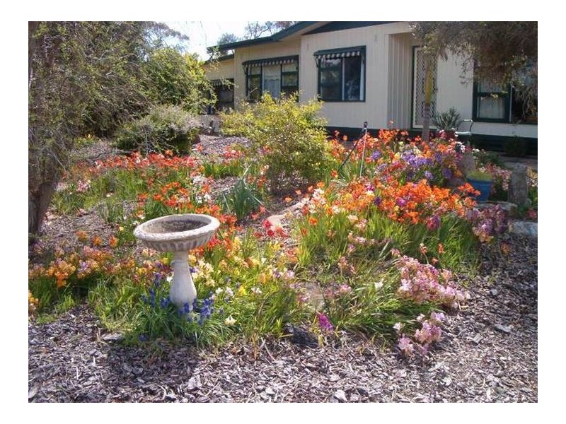 Sect 1119 Rathjen Road Mypolonga via, Murray Bridge SA 5253