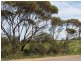 Sect 1119 Rathjen Road Mypolonga via, Murray Bridge SA 5253