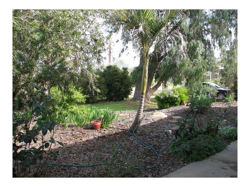 Sect 1119 Rathjen Road Mypolonga via, Murray Bridge SA 5253