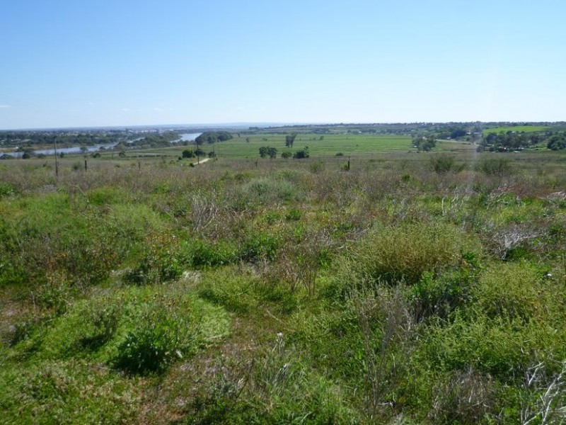 Lt 2 Long Flat Road / Queen Louisa Drive, Murray Bridge SA 5253
