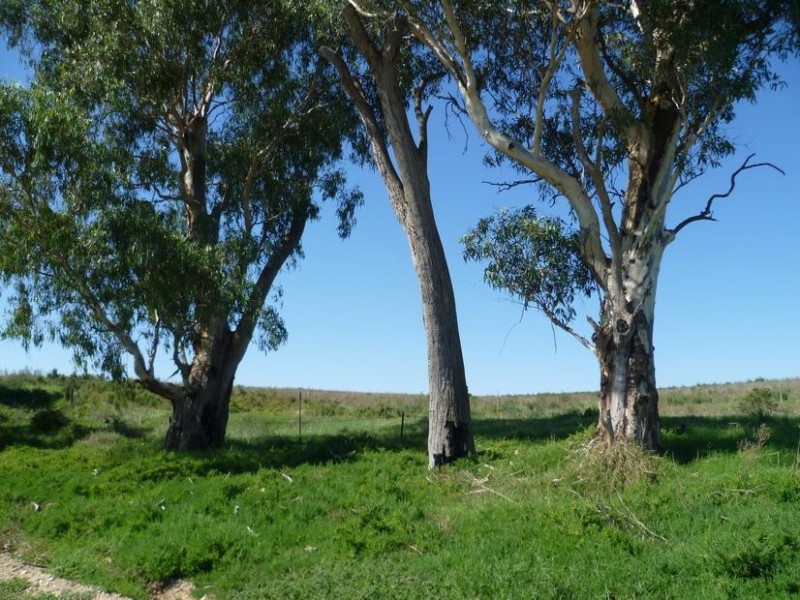 Lt 2 Long Flat Road / Queen Louisa Drive, Murray Bridge SA 5253