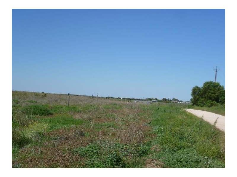 Lt 2 Long Flat Road / Queen Louisa Drive, Murray Bridge SA 5253