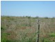 Lt 2 Long Flat Road / Queen Louisa Drive, Murray Bridge SA 5253