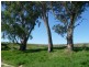 Lt 2 Long Flat Road / Queen Louisa Drive, Murray Bridge SA 5253