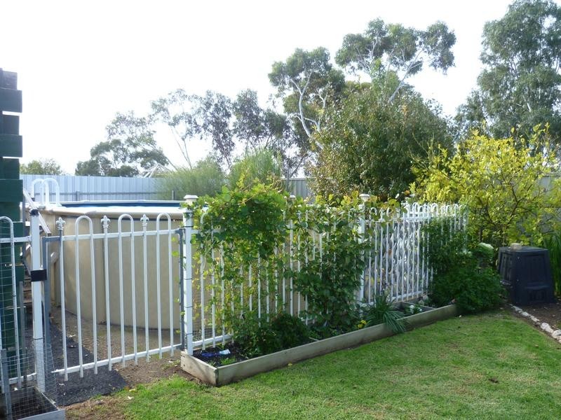 31 Doecke Road, Murray Bridge SA 5253