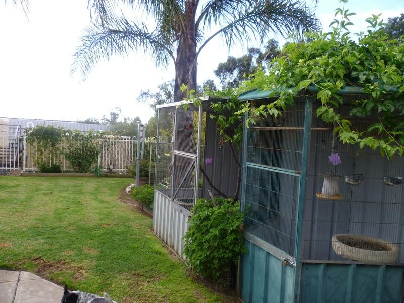 31 Doecke Road, Murray Bridge SA 5253