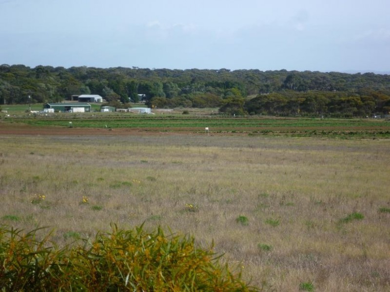 Lot 155 White Road, White Hill, Monarto SA 5254