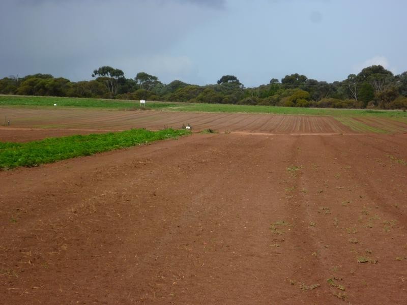 Lot 155 White Road, White Hill, Monarto SA 5254