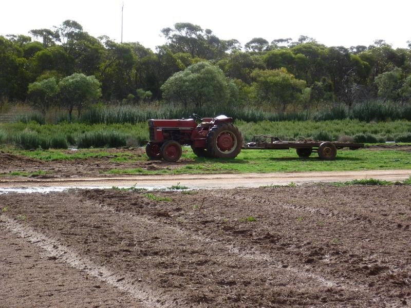 Lot 155 White Road, White Hill, Monarto SA 5254