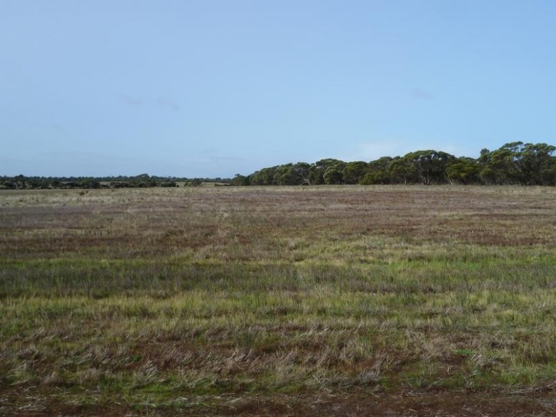 Lot 155 White Road, White Hill, Monarto SA 5254