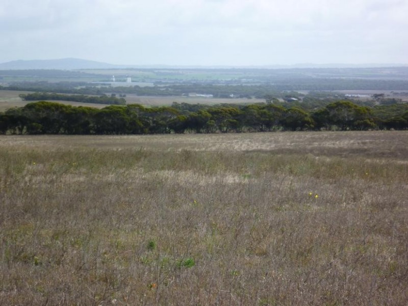 Lot 155 White Road, White Hill, Monarto SA 5254