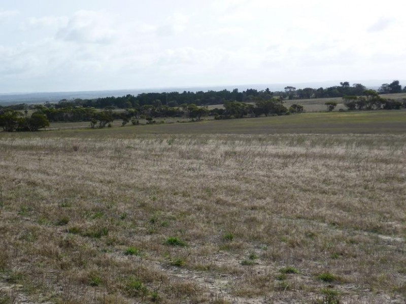 Lot 155 White Road, White Hill, Monarto SA 5254