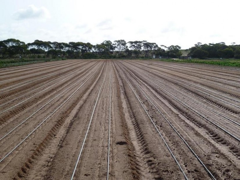 Lot 155 White Road, White Hill (Monarto) via, Murray Bridge SA 5253