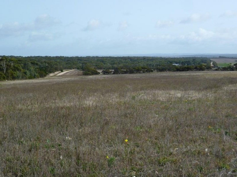 Lot 155 White Road, White Hill (Monarto) via, Murray Bridge SA 5253