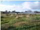 Lot 533 Bremer Road, Murray Bridge SA 5253