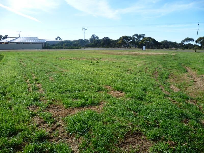 Lot 160 Corner Commerce Rd & Brinkley Rd, Murray Bridge SA 5253