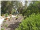 10 North Terrace, Callington SA 5254
