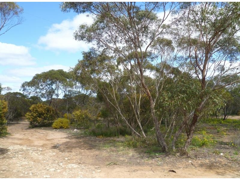 Lot 2 Orlando Road, MONTEITH via, Murray Bridge SA 5253