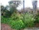 161 Swanport Road, Murray Bridge SA 5253