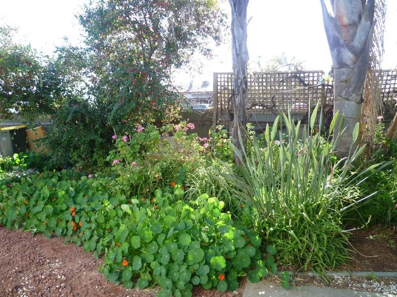 161 Swanport Road, Murray Bridge SA 5253