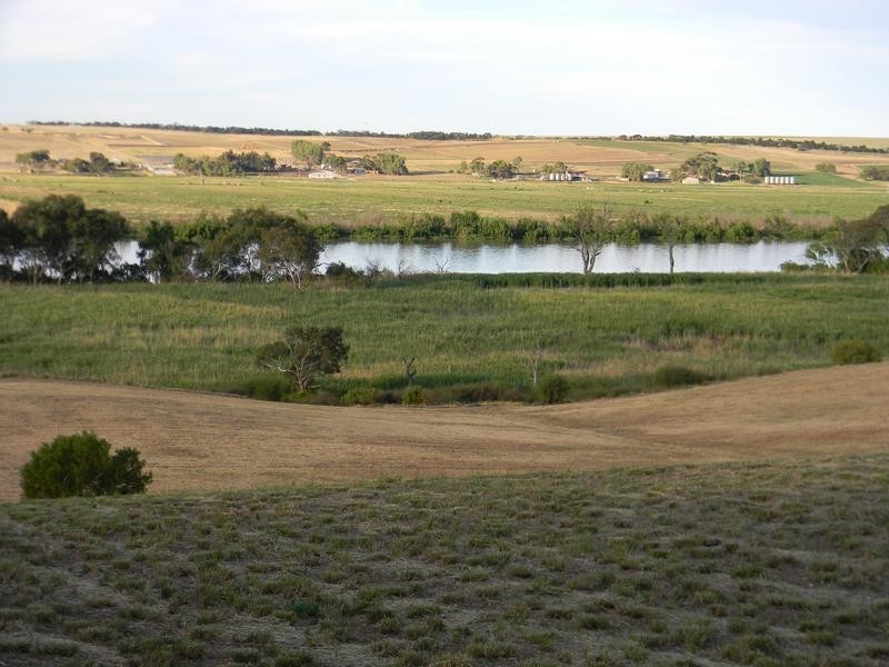 1155 (Proposed Allotment 10) Jervois Road (Whitesands) via, Murray Bridge SA 5253