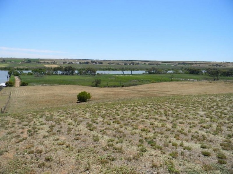 1155 (Proposed Allotment 10) Jervois Road (Whitesands) via, Murray Bridge SA 5253