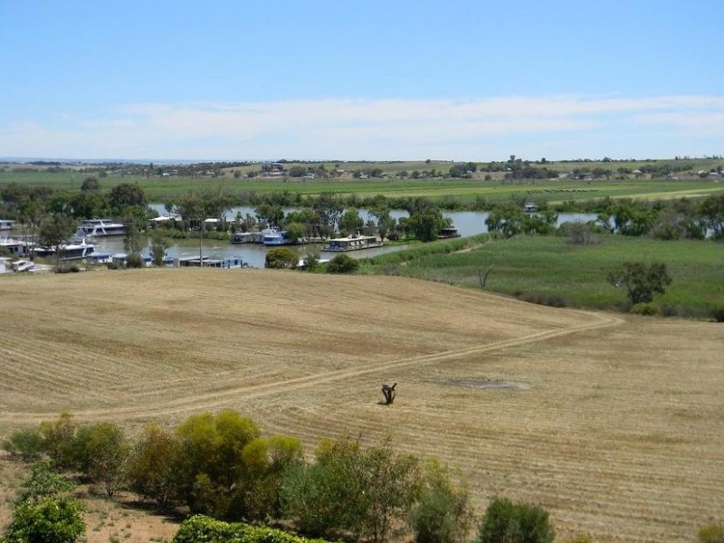 1155 (Proposed Allotment 10) Jervois Road (Whitesands) via, Murray Bridge SA 5253