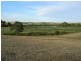 1155 (Proposed Allotment 10) Jervois Road Whitesands via, Murray Bridge SA 5253