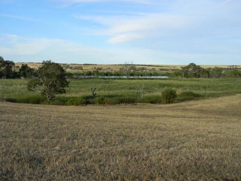 1155 (Proposed Allotment 10) Jervois Road Whitesands via, Murray Bridge SA 5253