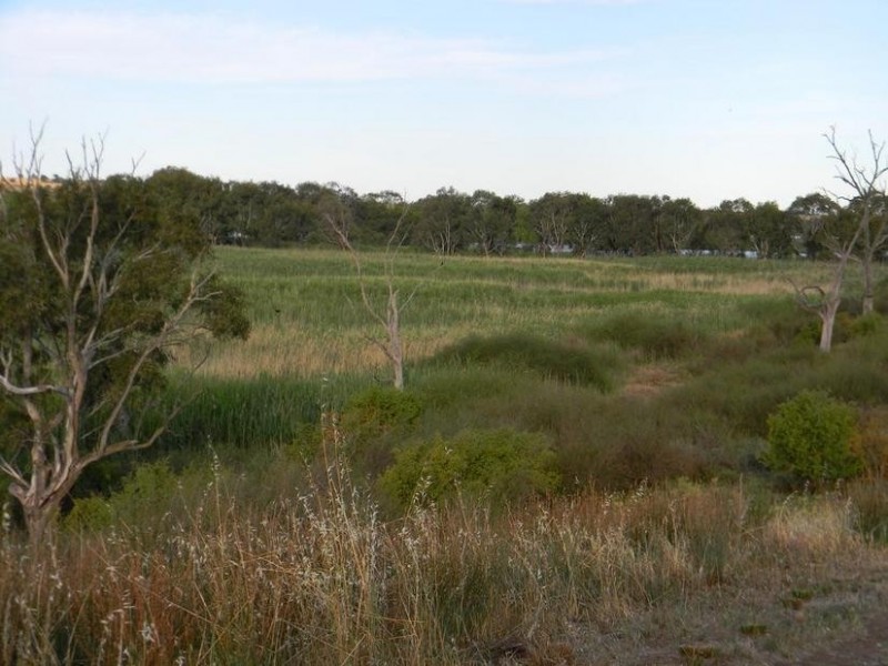 1155 (Proposed Allotment 10) Jervois Road Whitesands via, Murray Bridge SA 5253
