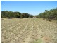 1155 (Proposed Allotment 10) Jervois Road Whitesands via, Murray Bridge SA 5253