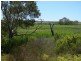 1155 (Proposed Allotment 10) Jervois Road Whitesands via, Murray Bridge SA 5253