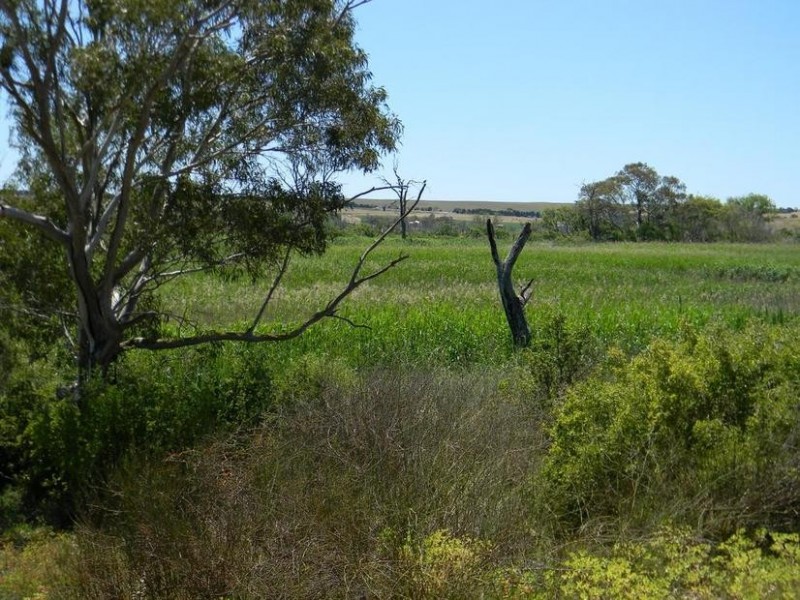 1155 (Proposed Allotment 10) Jervois Road Whitesands via, Murray Bridge SA 5253