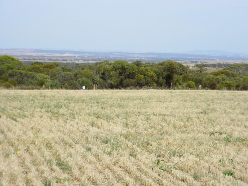 Lot 551 Boundary Road, Kepa via, Murray Bridge SA 5253