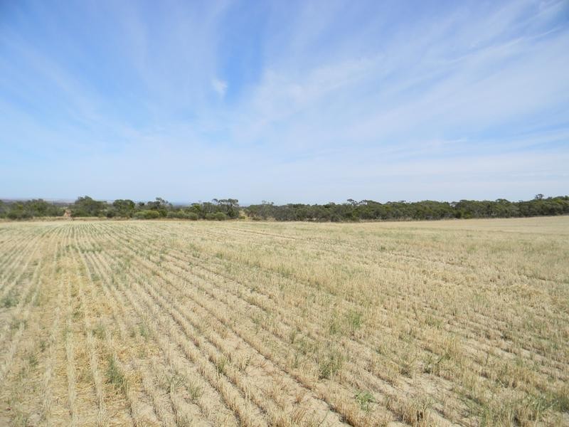 Lot 551 Boundary Road, Kepa via, Murray Bridge SA 5253
