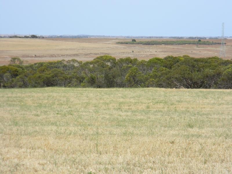 Lot 551 Boundary Road, Kepa via, Murray Bridge SA 5253