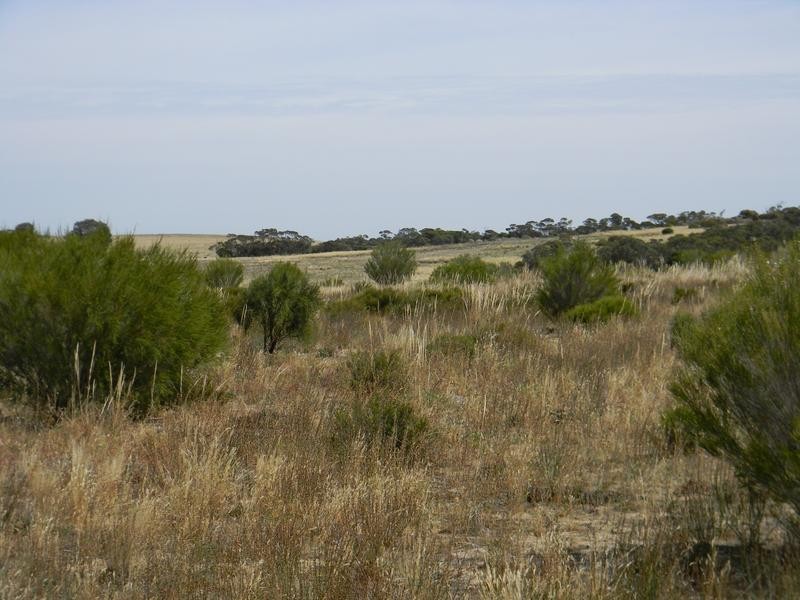 Lot 551 Boundary Road, Kepa via, Murray Bridge SA 5253