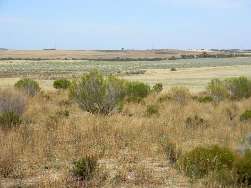 Lot 551 Boundary Road, Kepa via, Murray Bridge SA 5253