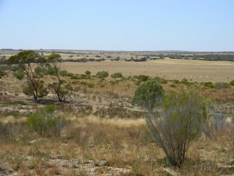 Lot 551 Boundary Road, Kepa via, Murray Bridge SA 5253