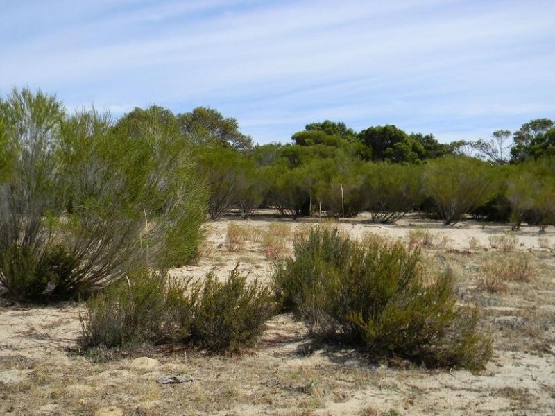 Lot 551 Boundary Road, Kepa via, Murray Bridge SA 5253