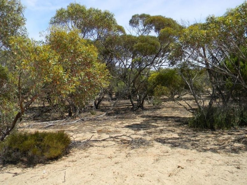 Lot 551 Boundary Road, Kepa via, Murray Bridge SA 5253