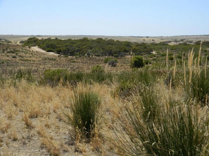 Lot 551 Boundary Road, Kepa via, Murray Bridge SA 5253