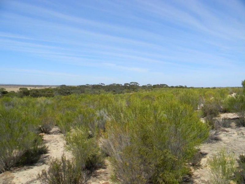 Lot 551 Boundary Road, Kepa via, Murray Bridge SA 5253