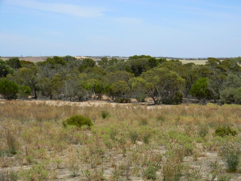 Lot 551 Boundary Road, Kepa via, Murray Bridge SA 5253