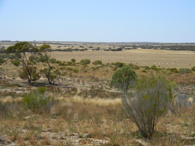 Lot 551 Boundary Road, Kepa SA 5259