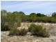 Lot 551 Boundary Road, Kepa SA 5259