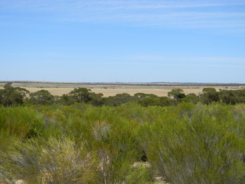 Lot 551 Boundary Road, Kepa SA 5259